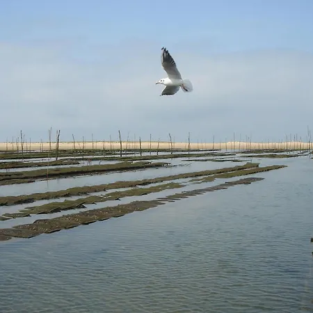 Les Flots Bleus Apartament Andernos-les-Bains