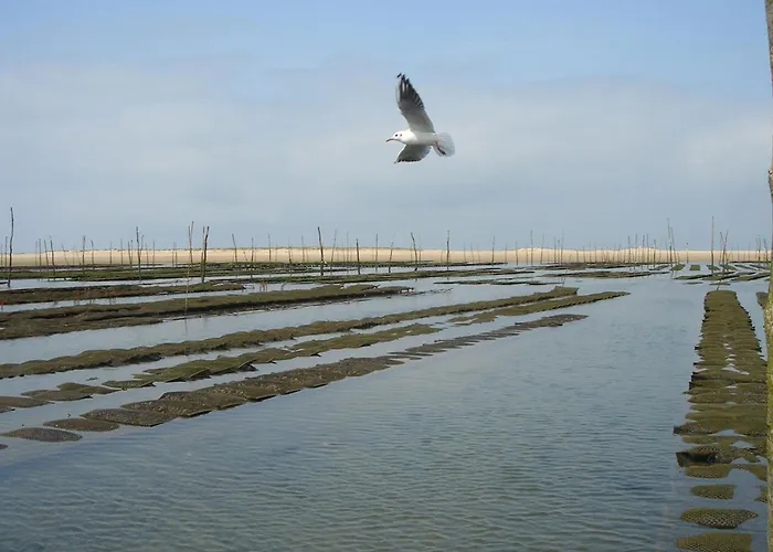 Les Flots Bleus Appartamento Andernos-les-Bains