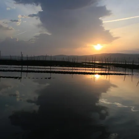 Les Flots Bleus Daire *